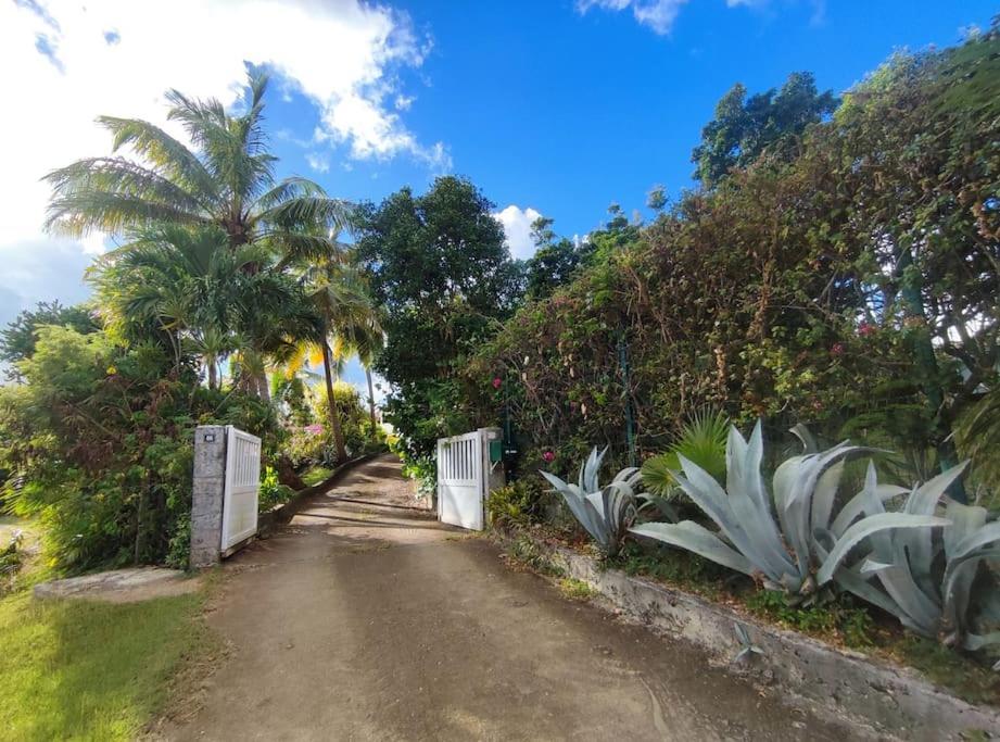 Appartement - Residence Piscine La Villa Bel サンタンヌ エクステリア 写真